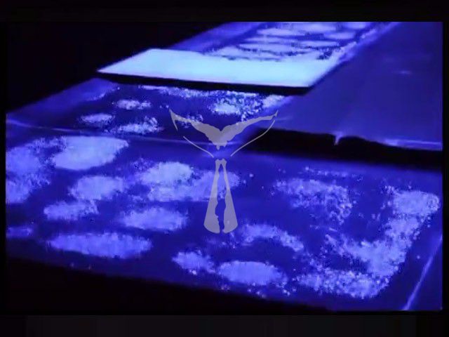 声光电互动装置视频